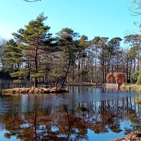 B&B Stripsein Wijnjewoude Kültér fotó